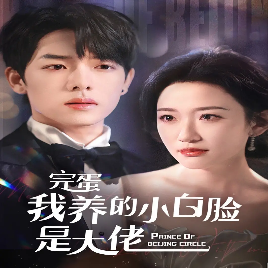 《京圈太子爷每天都想转正》：腹黑总裁的追妻火葬场！甜宠、搞笑、反转不停！