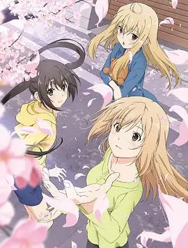 《南家三姐妹我回来了》：温暖治愈，平凡生活中的动人篇章，重拾久违的家庭温馨